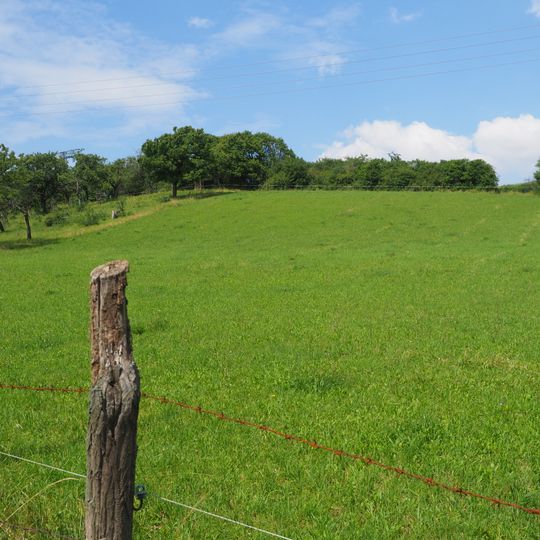 Ziegenbuschhänge bei Oberau
