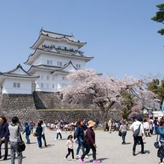 Odawara Castle Park