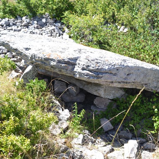 Dolmen de Coste Plane