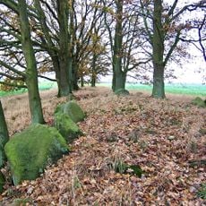 Dolmen von Friedrichsruhe