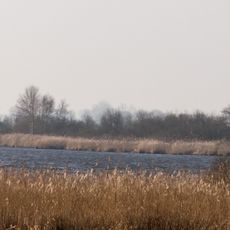 Loppersumer Meer