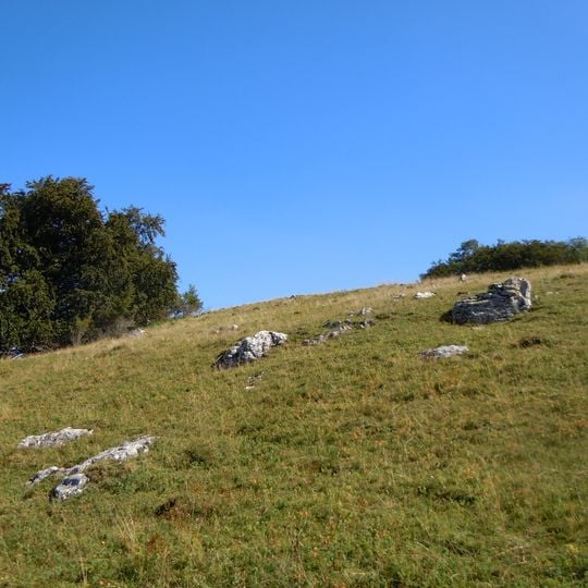 Sommerschafweide hinter dem Hockenden Stein, Auchtweide