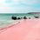 Pink Sands Beach