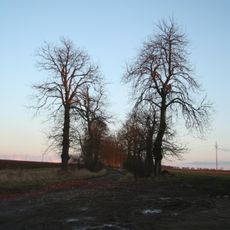 Čtyři aleje kolem Velkopolského dvora - Jihovýchodní alej