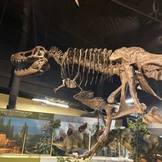 Naranjo Museum of Natural History