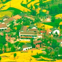 Hanzhong