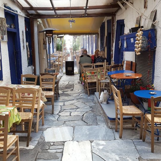 Avli