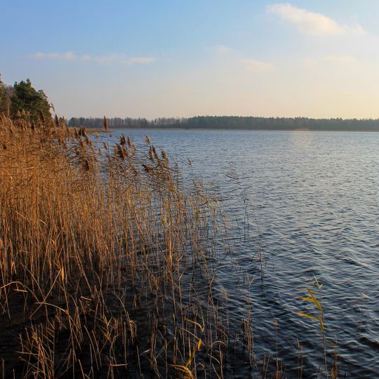 Ostrivskyi Nature Reserve