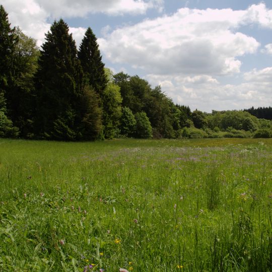Naturschutzgebiet In der Breungeshainer Heide
