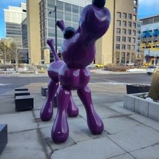 Purple Dog