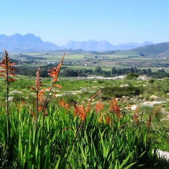 Bracken Nature Reserve