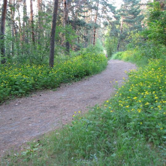 Zverinogolovskij rajon