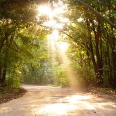 Restinga de Cabedelo National Forest