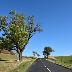 Boží muka u Podbořanského Rohozce