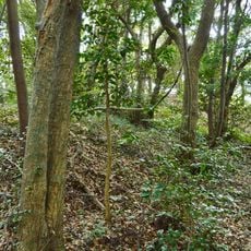 Neso Kofun Cluster