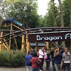 Dragonfly (roller coaster)