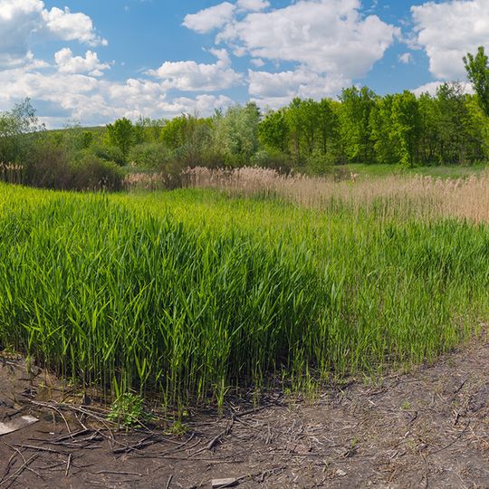 Терентіївські гори