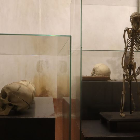 Museum of History of Psychiatry