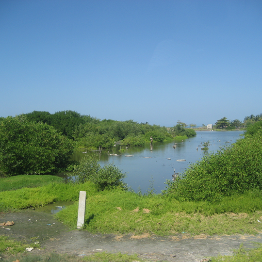 Salamanca Island Road Park