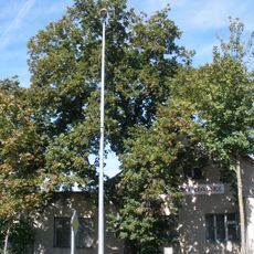 Lípa velkolistá u hasičské zbrojnice v Újezdě nad Lesy