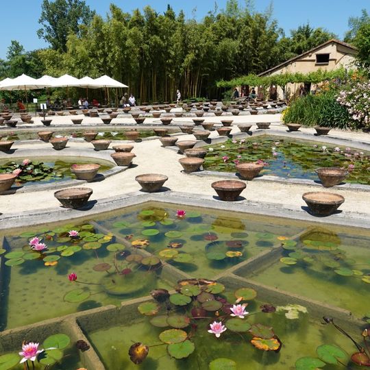 Jardin des nénuphars de  Latour-Marliac