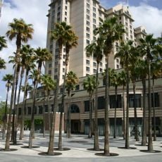 Circle of Palms Plaza