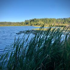 Scott Lake