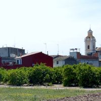 Alcàntera de Xúquer