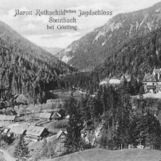 Steinbach Castle (Göstling an der Ybbs)