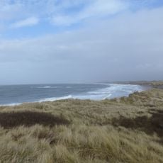Vangså Hede