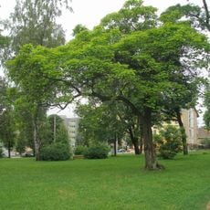 Park Lesík delostrelcov