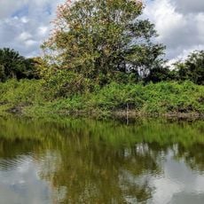 Crooked Tree Wildlife Sanctuary