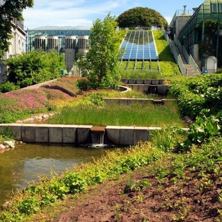 Jardin sur le toit de la bibliothèque universitaire de Varsovie