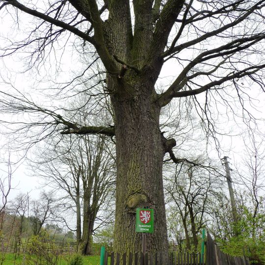 Vaňkův Dub v Žikově