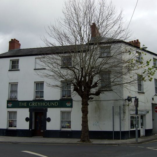 The Greyhound