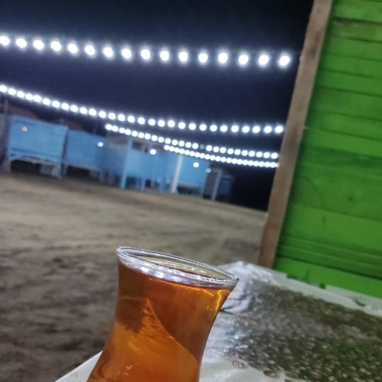 Delfin Çimərlik \ Novxanı bağları