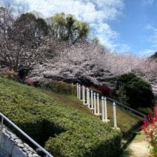朝倉緑のふるさと公園