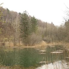 Franzosenweiher