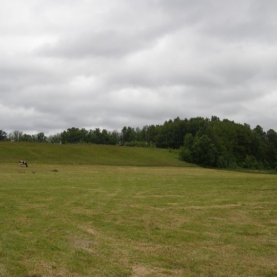 Martynaičių piliakalnis