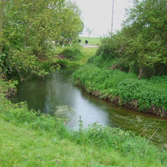 River Mease SSSI