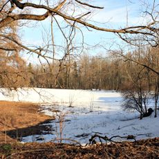 Парк с прудами (Ропша)