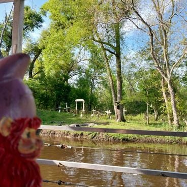 Louisiana inusual: lugares secretos, sitios abandonados y misterios del bayou