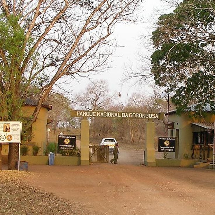 Gorongosa nationalpark