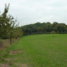 Galgenbusch