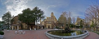 Panoramic View 2