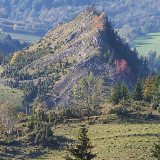 Rezerwat przyrody Biała Woda