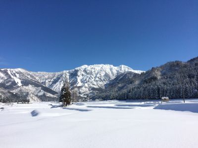 Winter 0