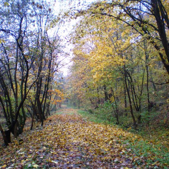 Jiesia Landscape Reserve