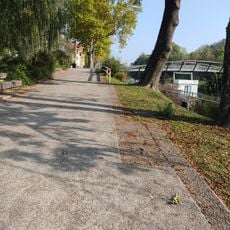Hladnik's footbridge