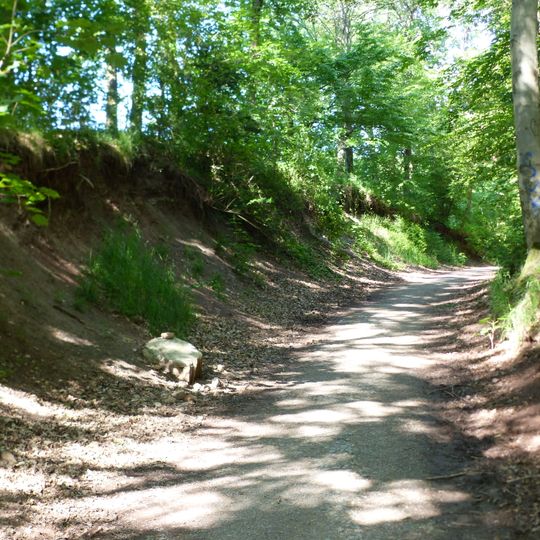 Hohlweg mit Lehrbergschichten im Kräherwald